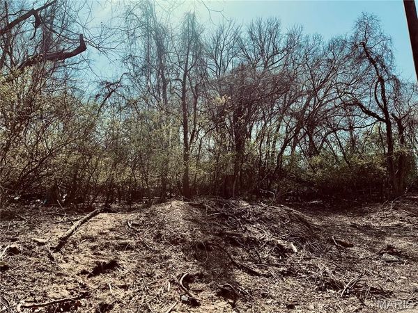 10726 Ridge Avenue , Unincorporated, MO 63114