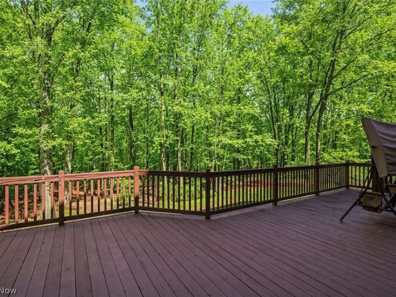 309 High Bluff, Aurora, OH 44202 Photo 46