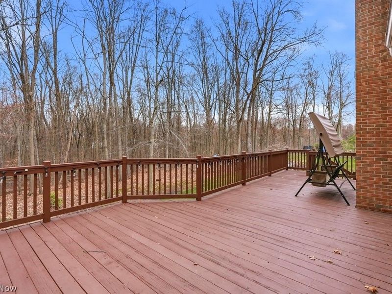 309 High Bluff , Aurora, OH 44202 Photo 48