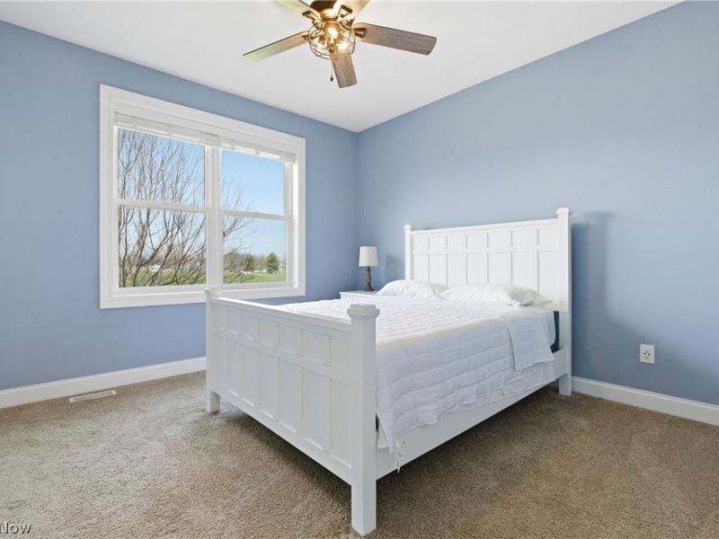 613 U S Grant Street, Lagrange, OH 44050 Photo 23