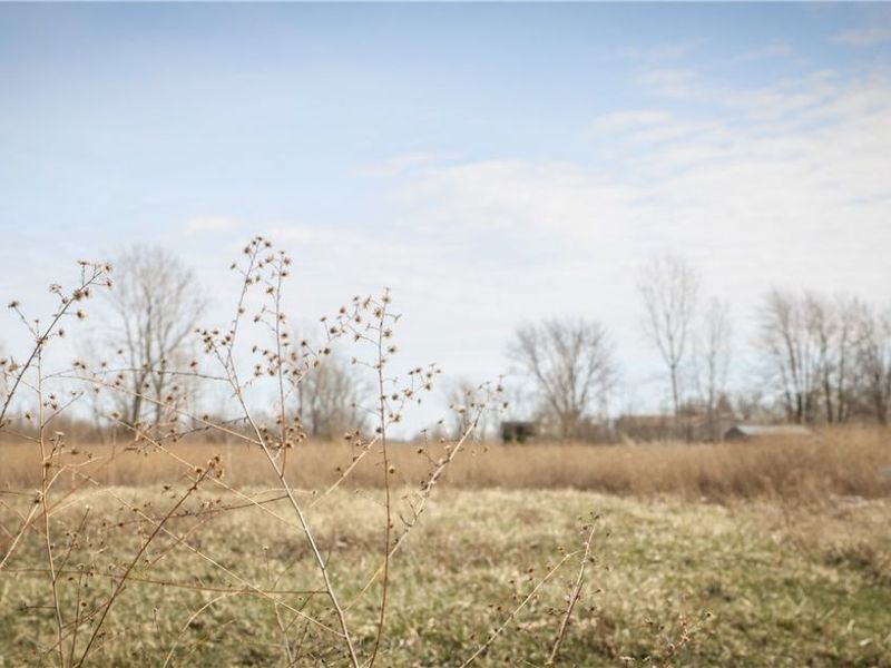 3rd, Rocky Ridge, OH 43449 Photo 3