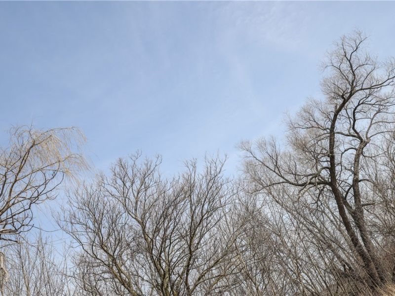 3rd, Rocky Ridge, OH 43449 Photo 9