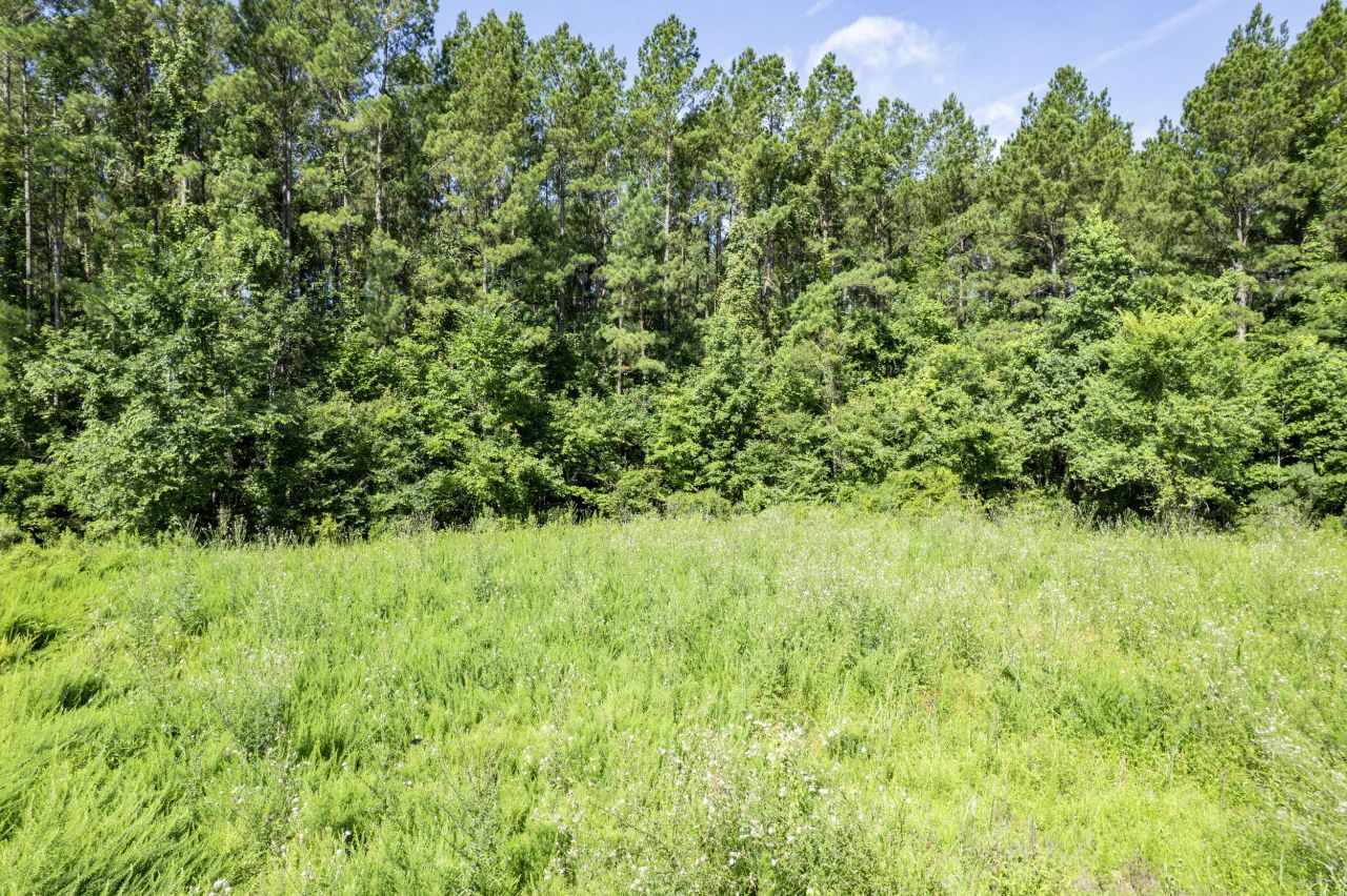 1336 Wood Sorrel Drive Photo 15