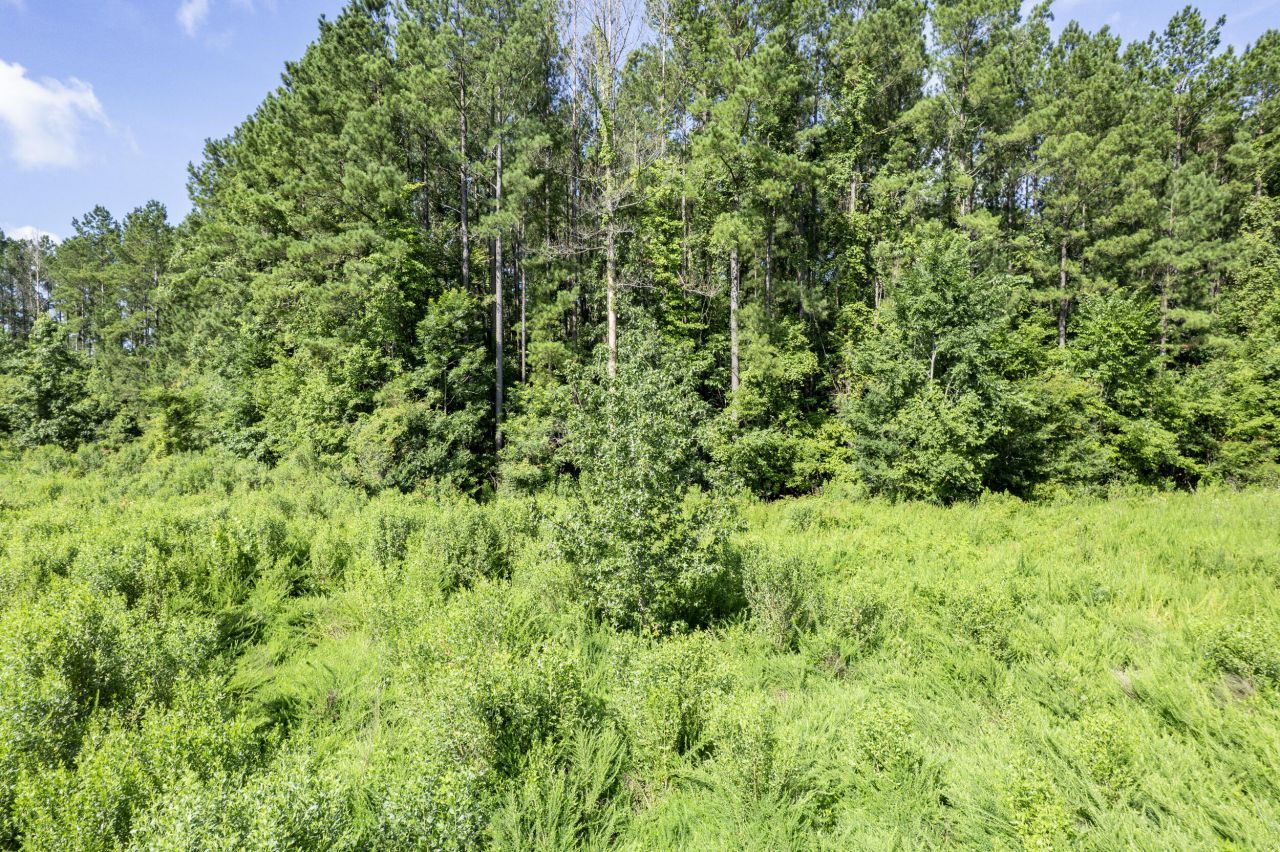 1336 Wood Sorrel Drive Photo 16