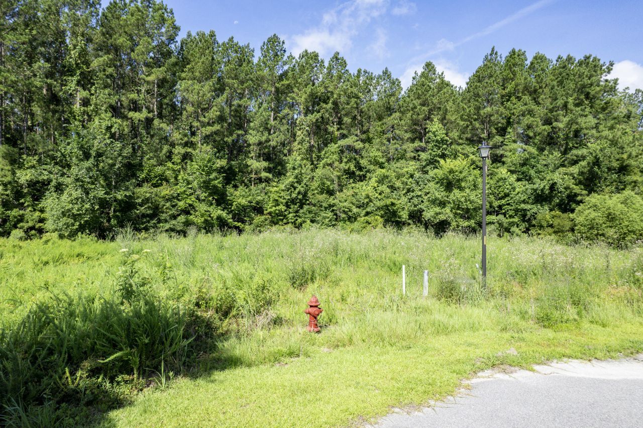 1336 Wood Sorrel Drive Photo 17