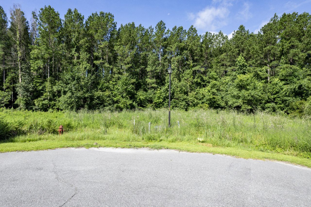 1336 Wood Sorrel Drive Photo 18