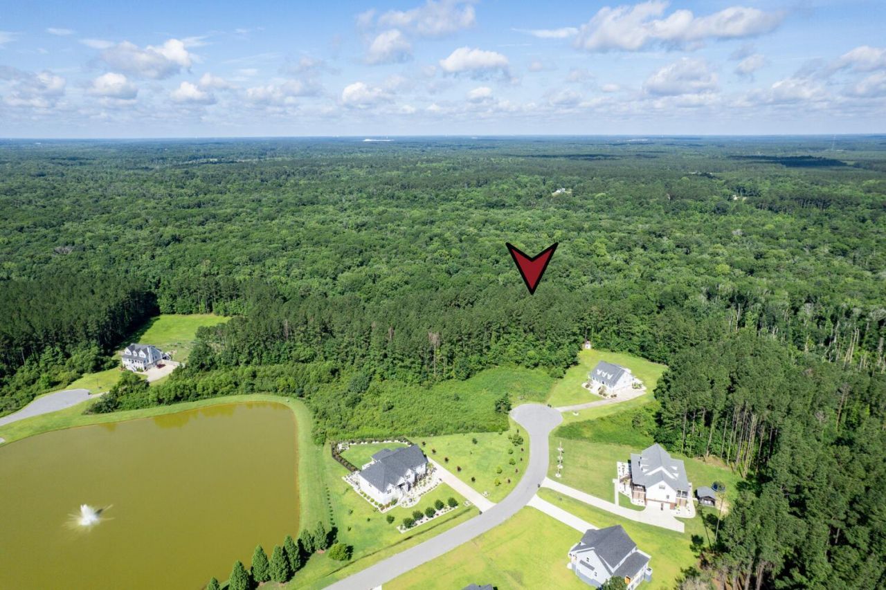 1336 Wood Sorrel Drive Photo 19