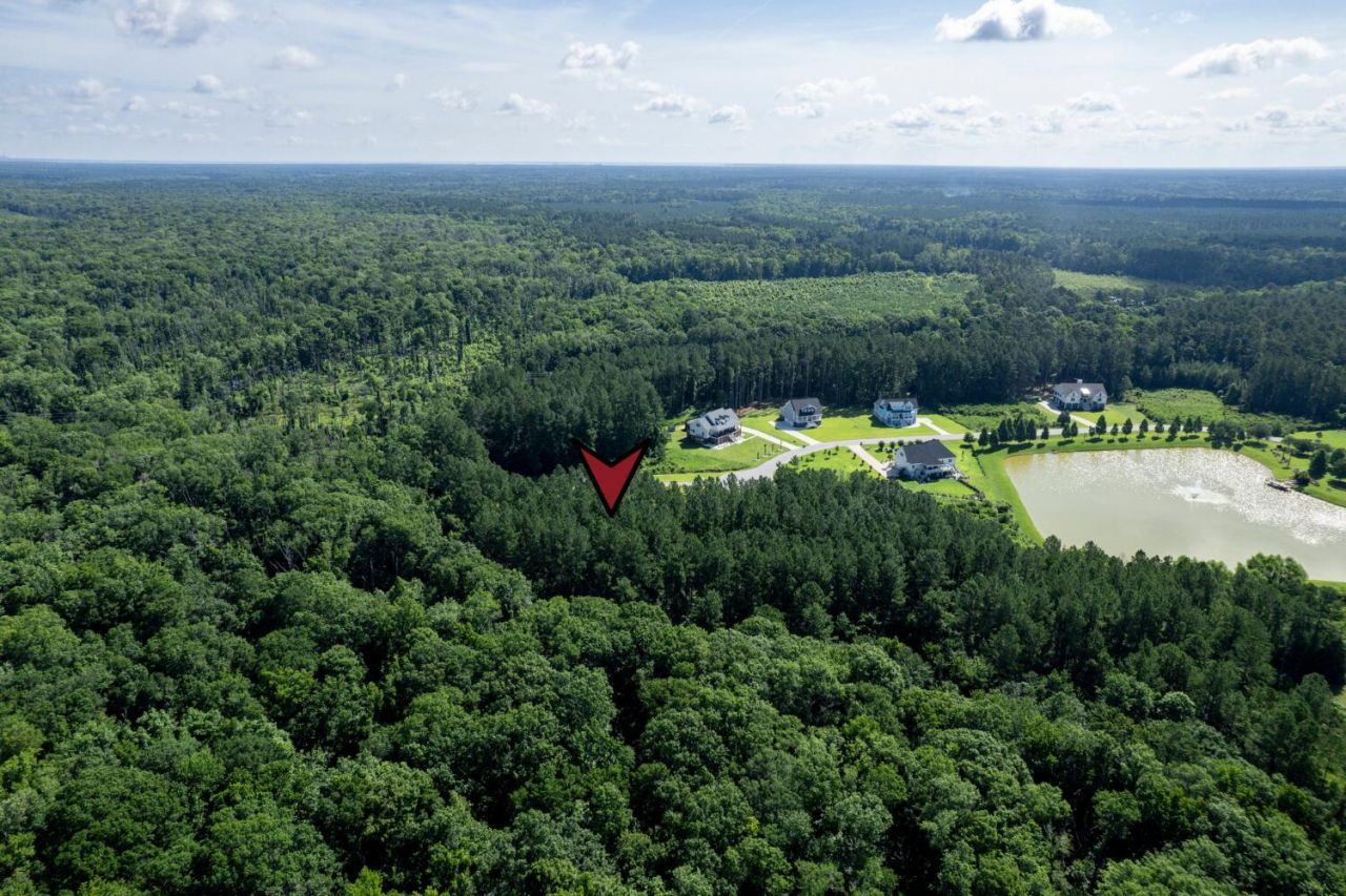 1336 Wood Sorrel Drive Photo 20