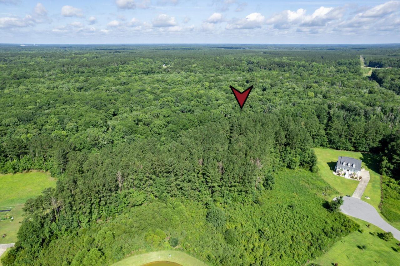 1336 Wood Sorrel Drive Photo 21