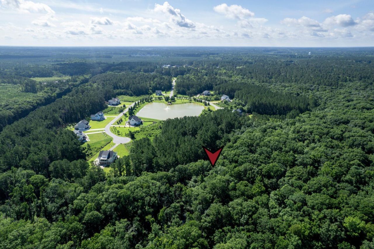 1336 Wood Sorrel Drive Photo 22