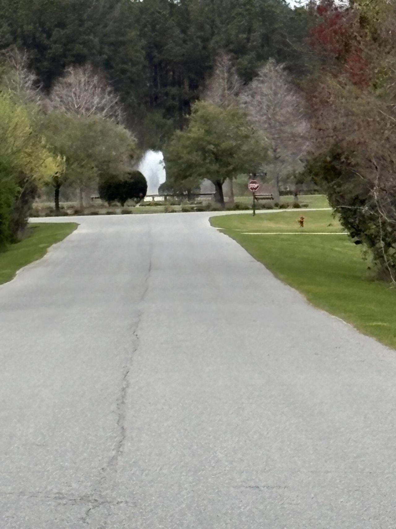 1336 Wood Sorrel Drive Photo 26