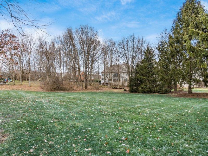 4602 Sandwich Court , Dublin, OH 43016 Photo 98