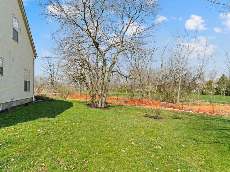 8048 Lombard Way, Dublin, OH 43016 Photo 49