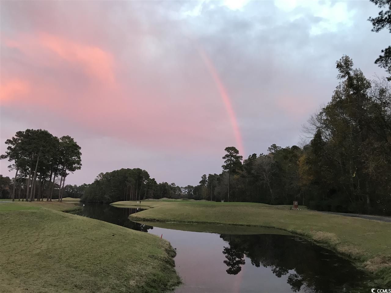2104 Wood Stork Dr. Photo 59