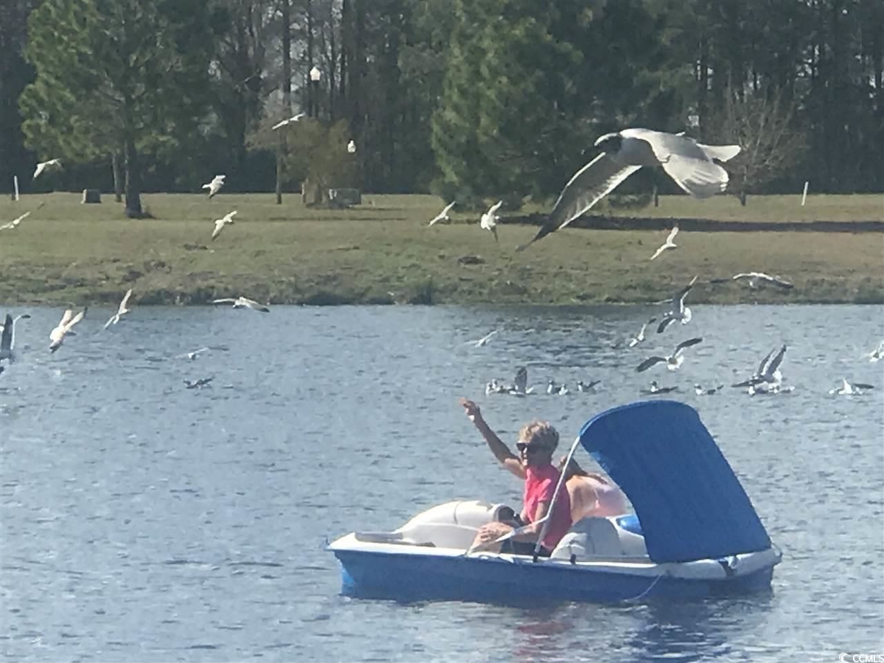 2104 Wood Stork Dr. Photo 61