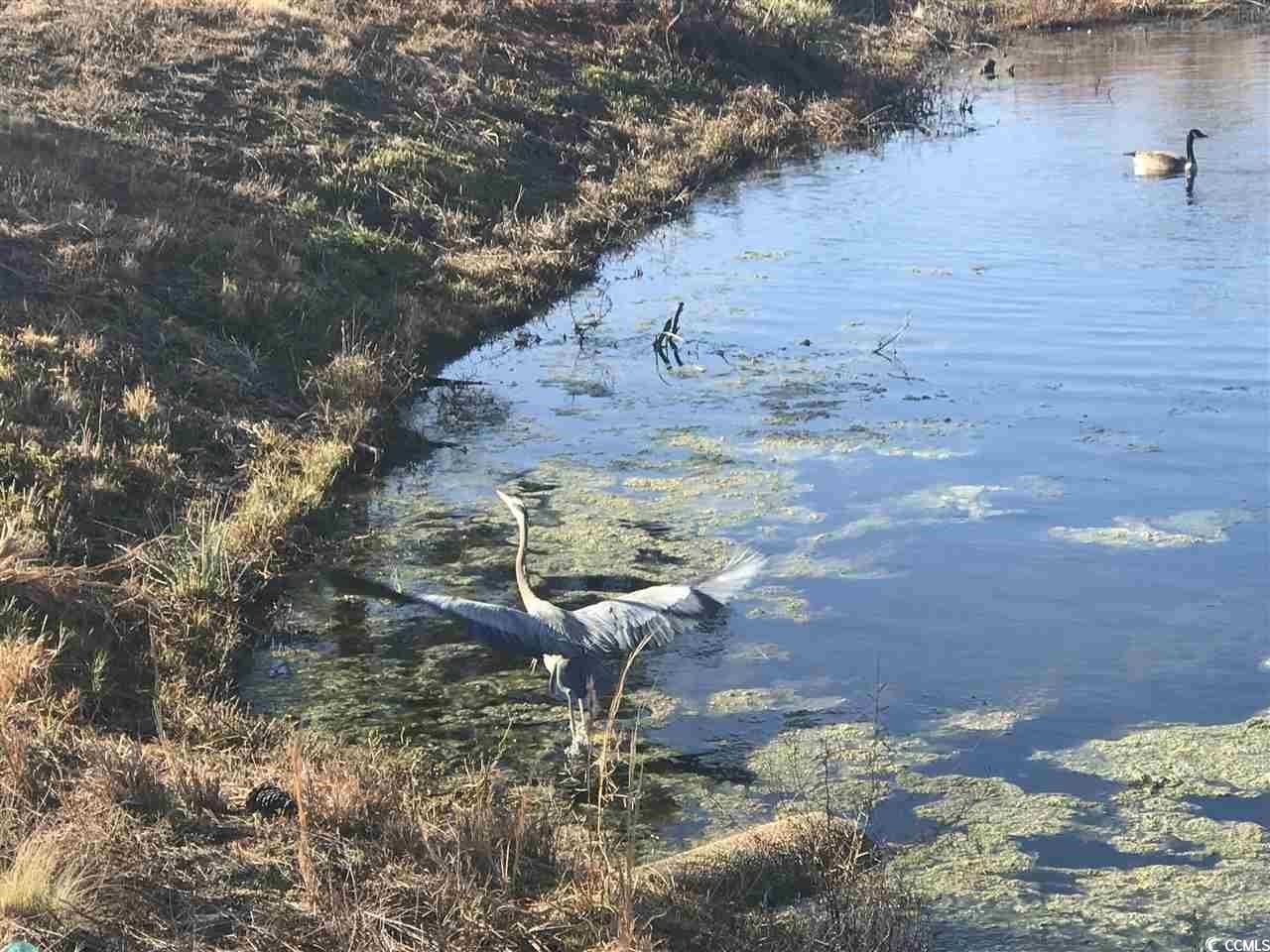 2104 Wood Stork Dr. Photo 62