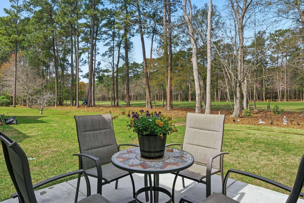 1135 N Blackmoor Dr. Photo 23