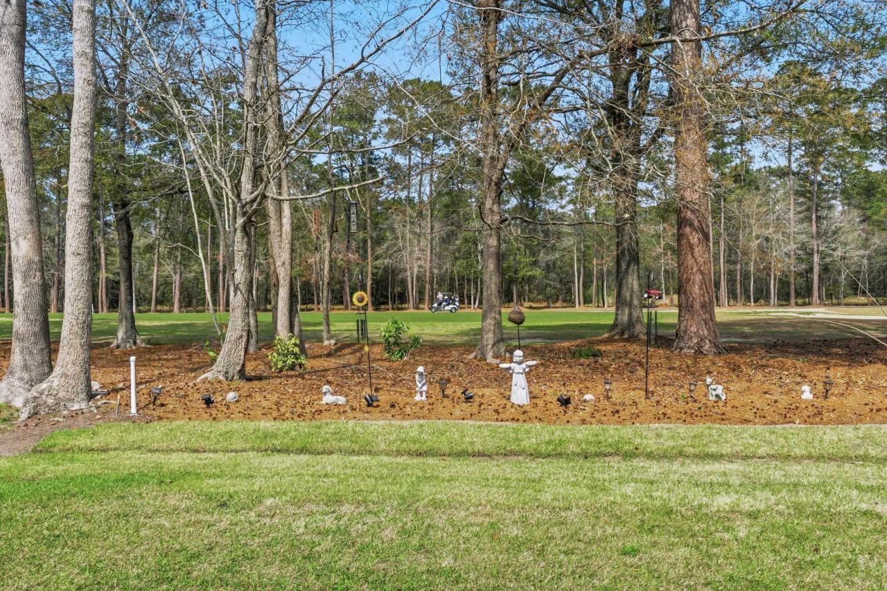 1135 N Blackmoor Dr. Photo 24