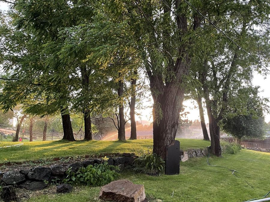 Property Image 67
