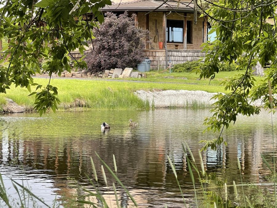 Property Image 70