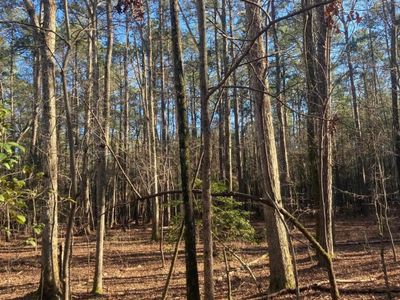 0 Church , Prosperity, SC 29127