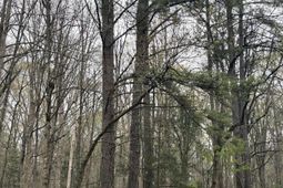 1394 Lake Road photo 4