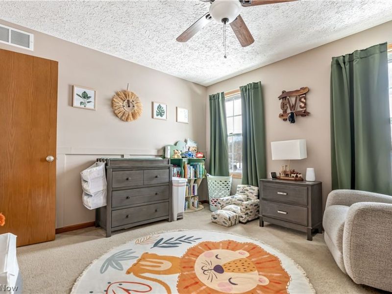 114 Hemlock Avenue, Waynesburg, OH 44688 Photo 40