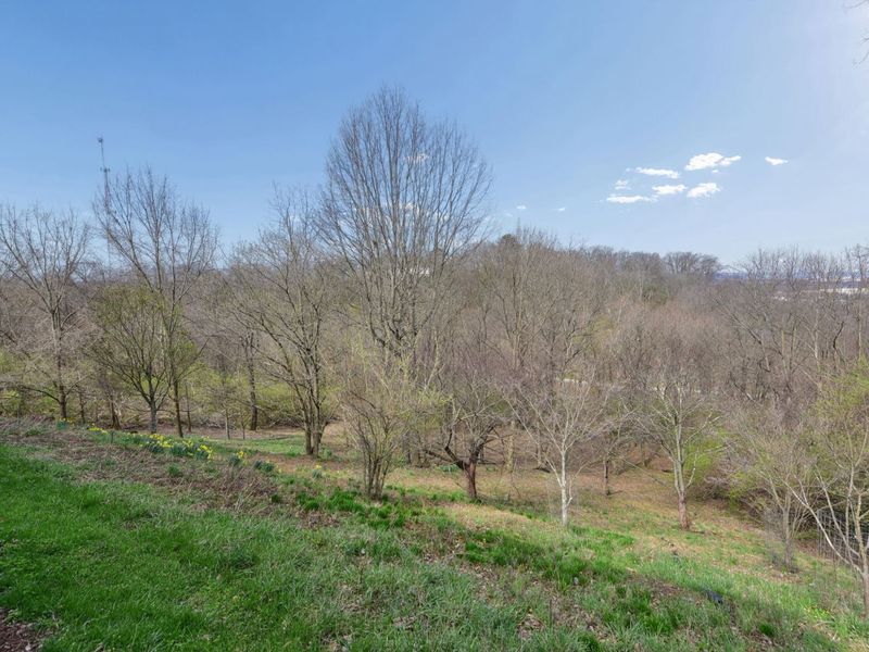 1 Colonel Pointe Drive, Wilder, KY 41076 Photo 49