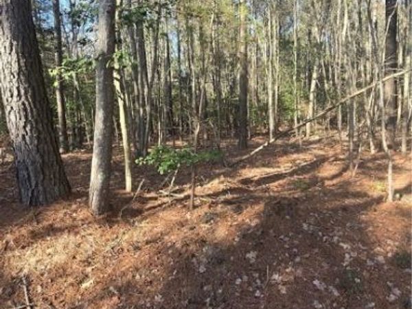 Parcel 39 A 79 Bar Neck Road, Port Haywood, VA 23138