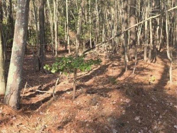 0 Pepper Creek Road , Susan, VA 23163