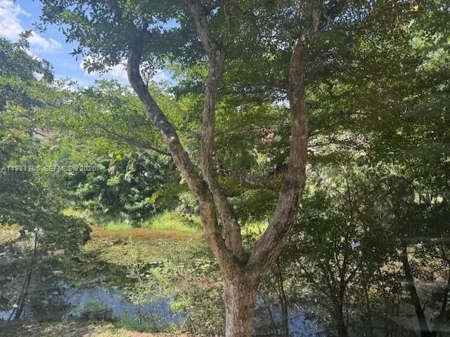 3212 NW 102nd Ter , Unit 203-F, Coral Springs, FL 33065 Photo