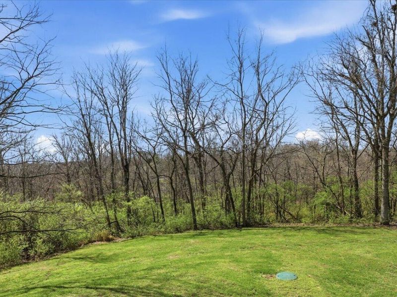 11813 Big Bone Church Road, Union, KY 41091 Photo 22