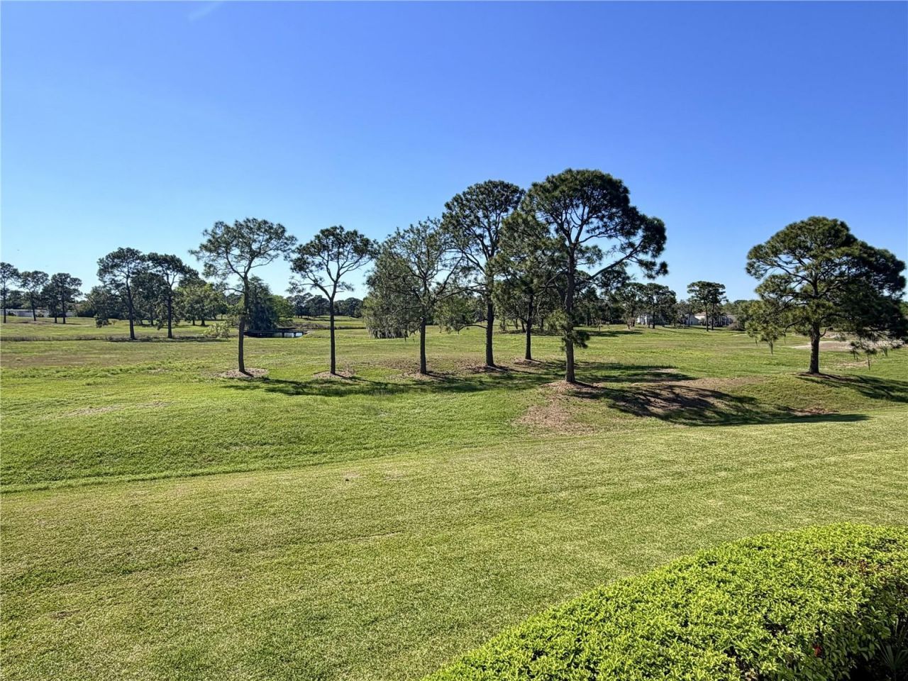 13839 Fairway Island Drive, Unit 1124, Orlando, FL 32837 Photo
