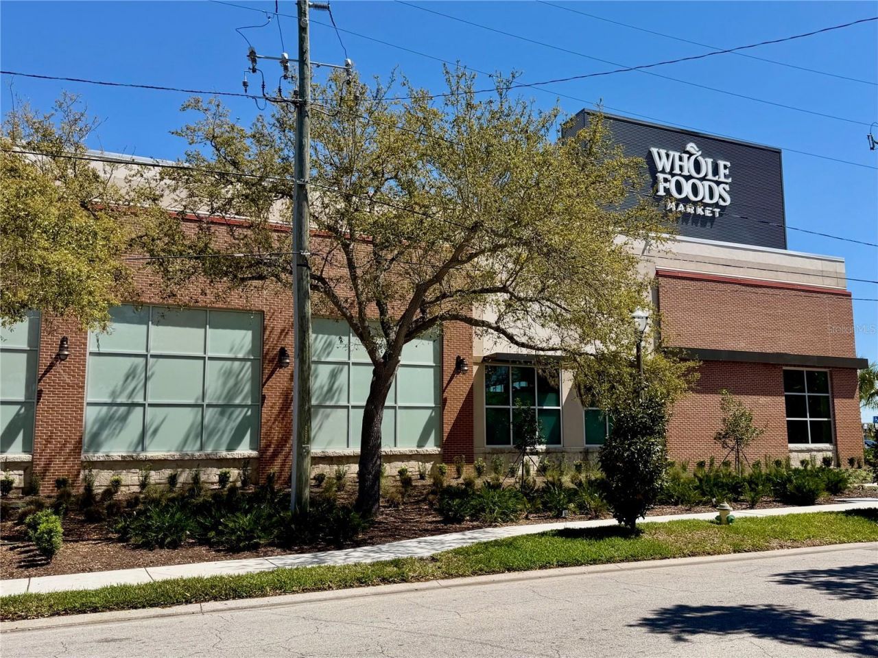 4000 3rd Street N, Unit 302, Saint Petersburg, FL 33703 Photo