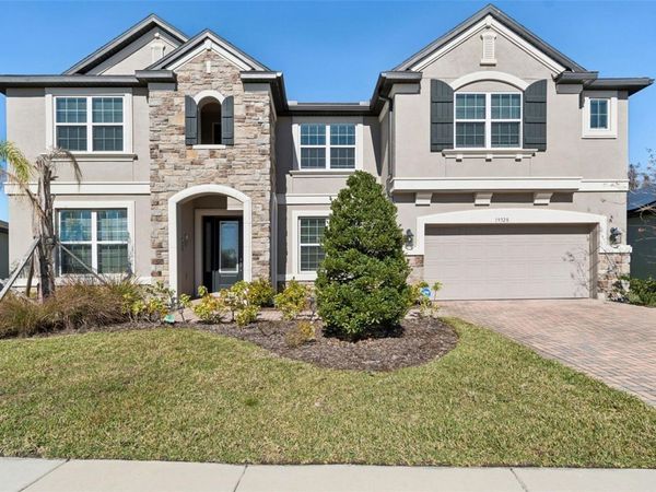 19328 EAGLE CREEK LANE, TAMPA, FL 33647