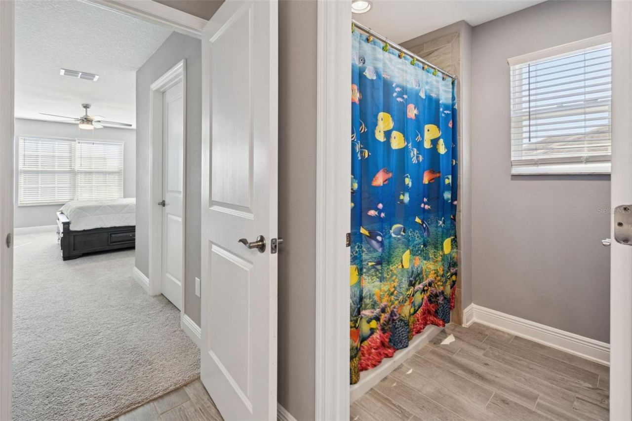 19328 Eagle Creek Lane, Tampa, FL 33647 Photo