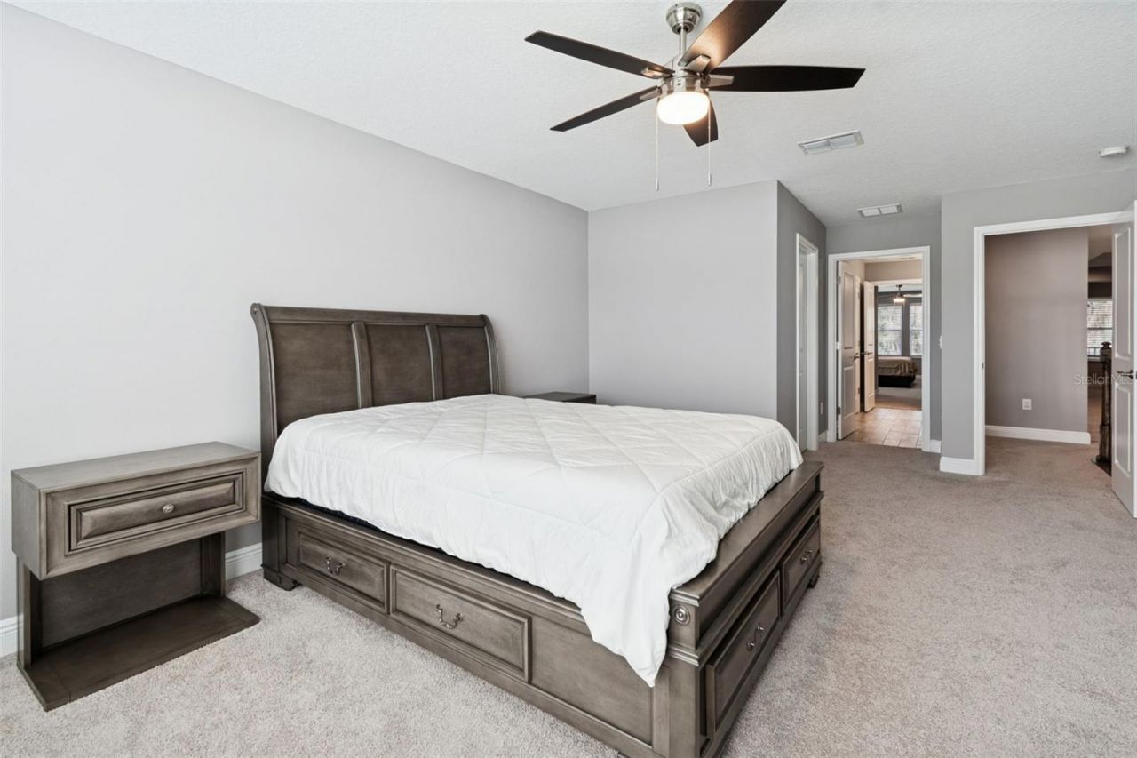 19328 Eagle Creek Lane, Tampa, FL 33647 Photo