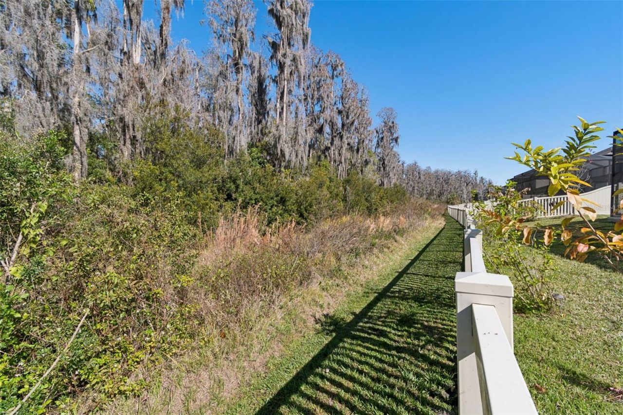 19328 Eagle Creek Lane, Tampa, FL 33647 Photo