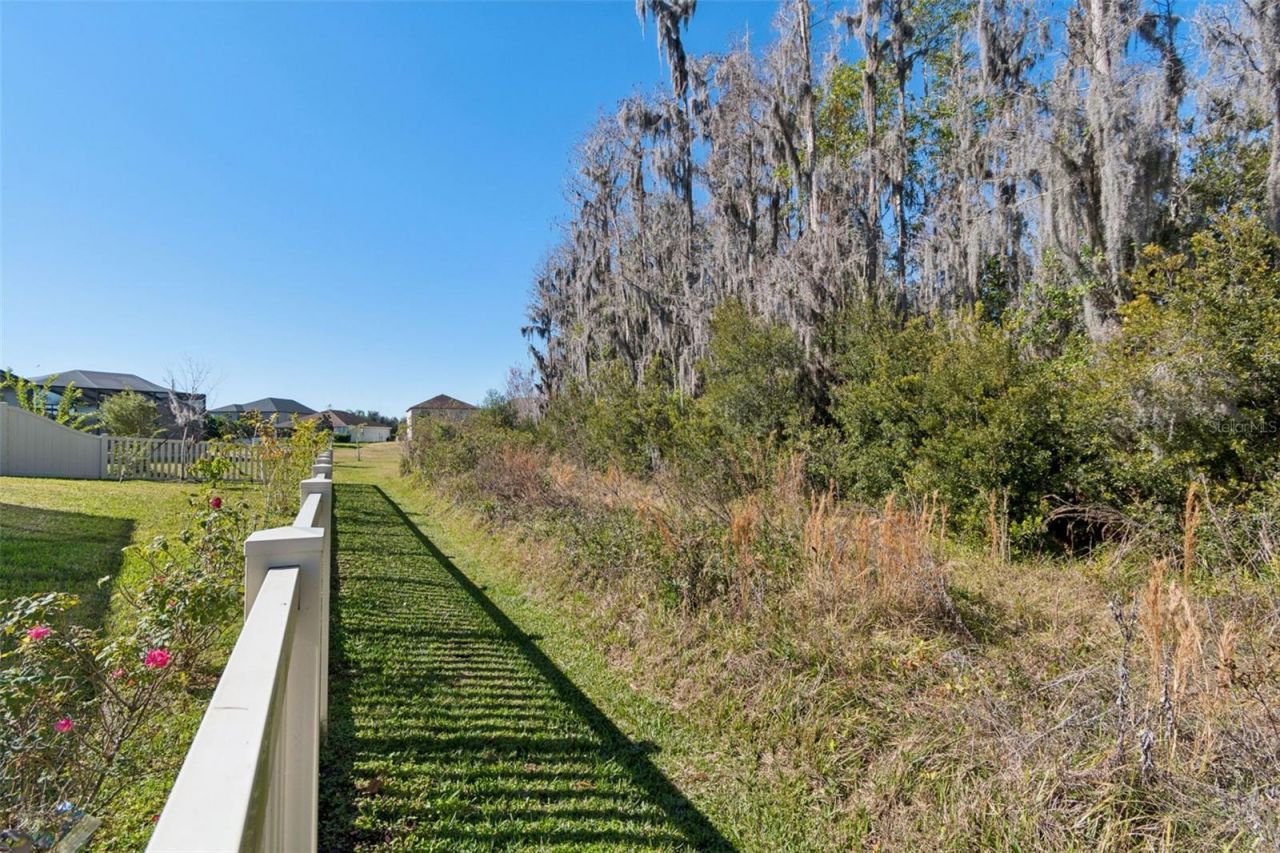 19328 Eagle Creek Lane, Tampa, FL 33647 Photo