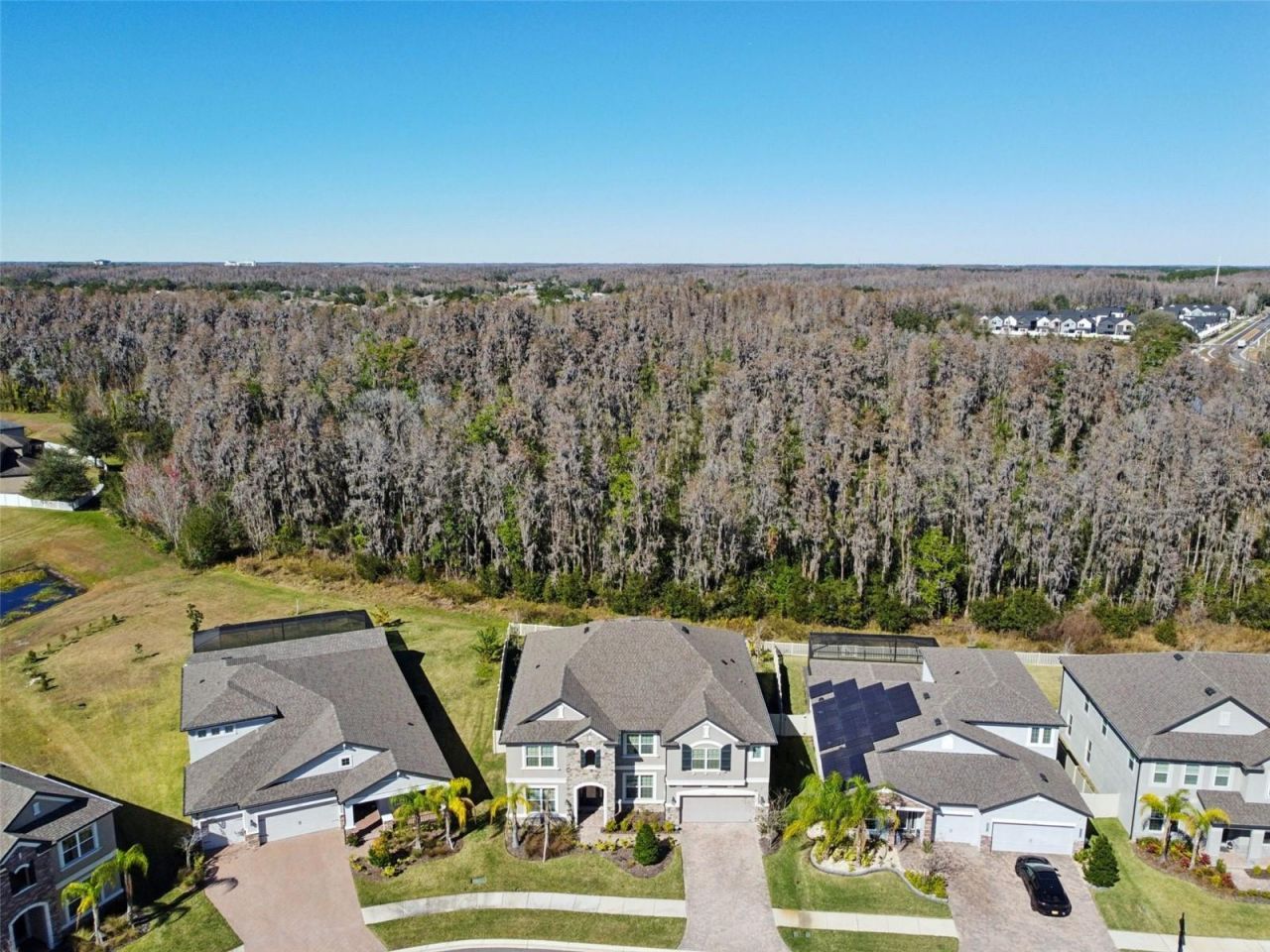 19328 Eagle Creek Lane, Tampa, FL 33647 Photo