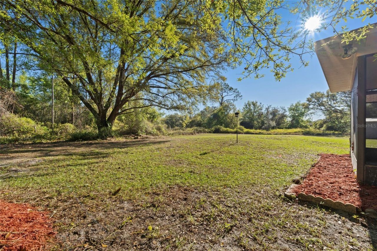 3117 Buttercup Lane, Lake Placid, FL 33852 Photo