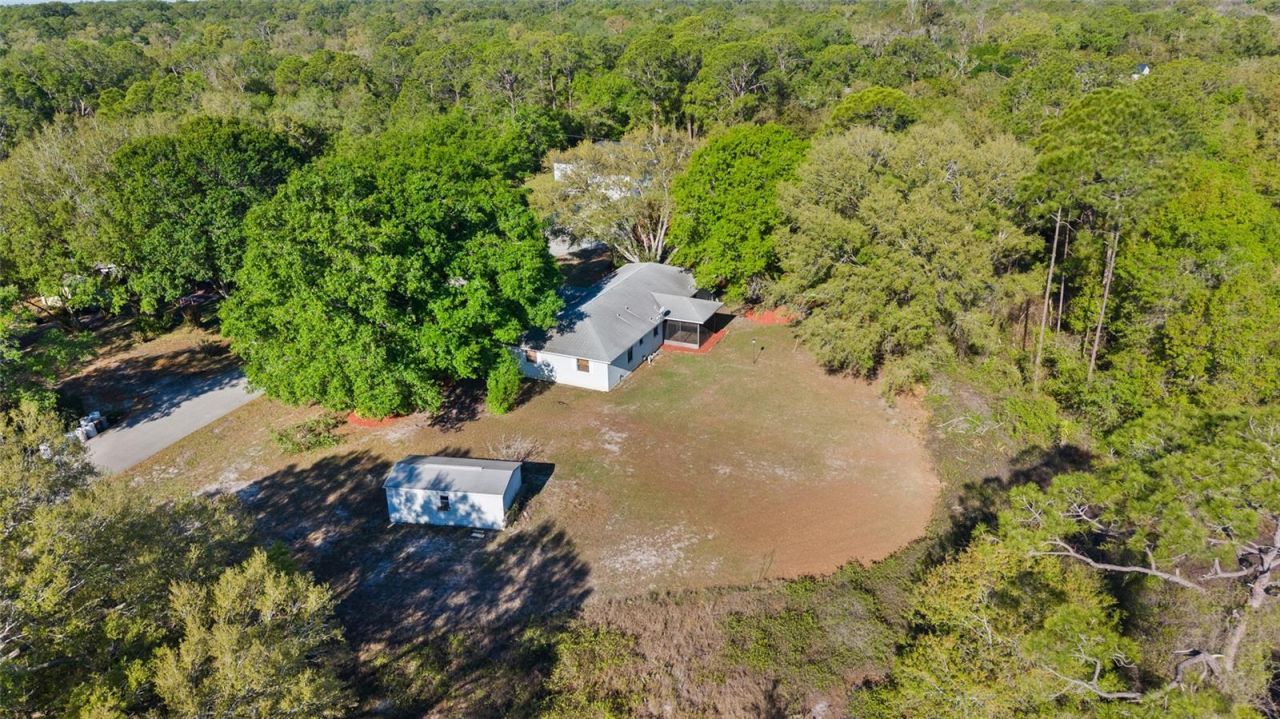 3117 Buttercup Lane, Lake Placid, FL 33852 Photo