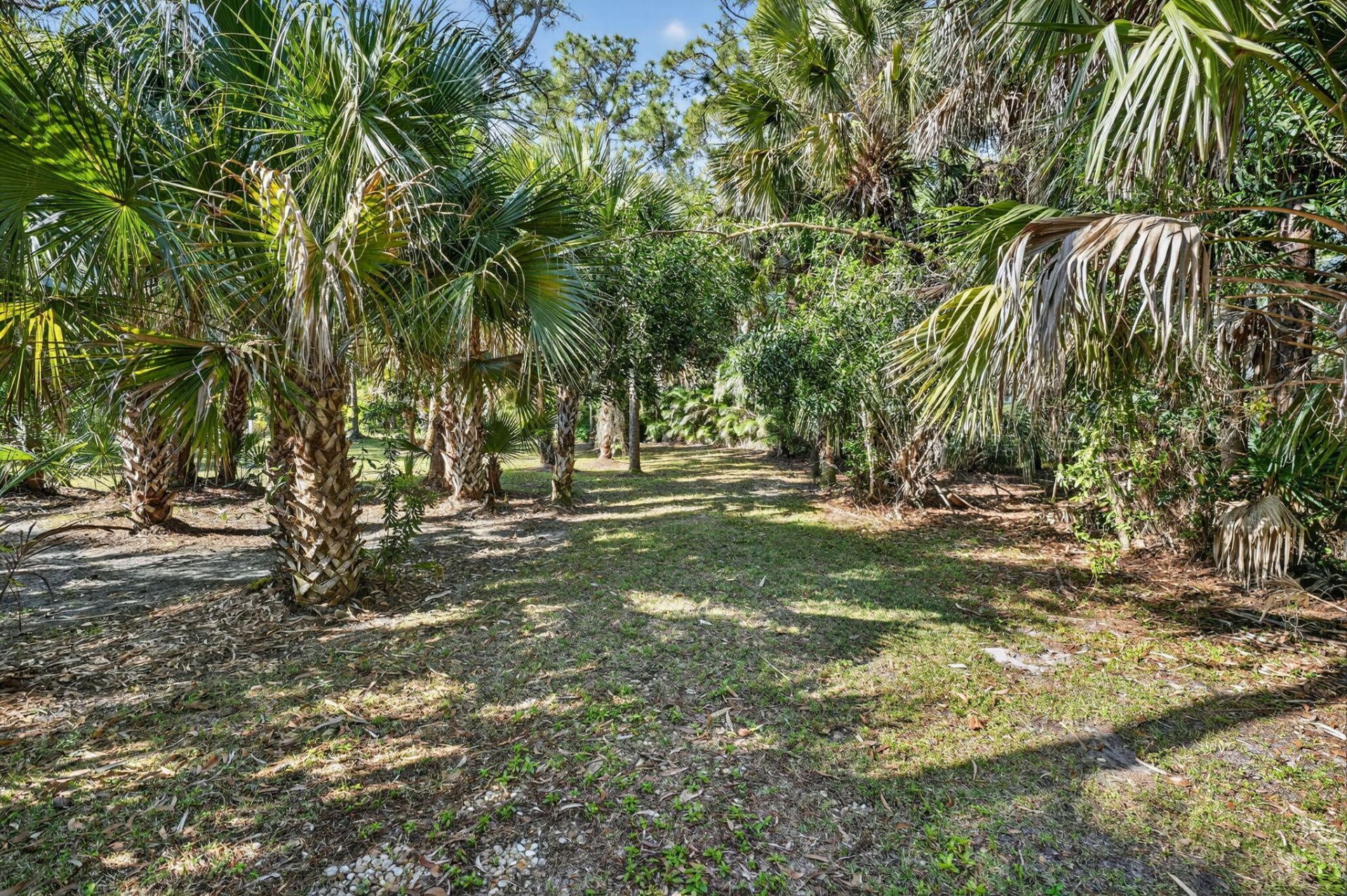 9417 Whippoorwill Trail, Jupiter Farms, FL 33478 Photo
