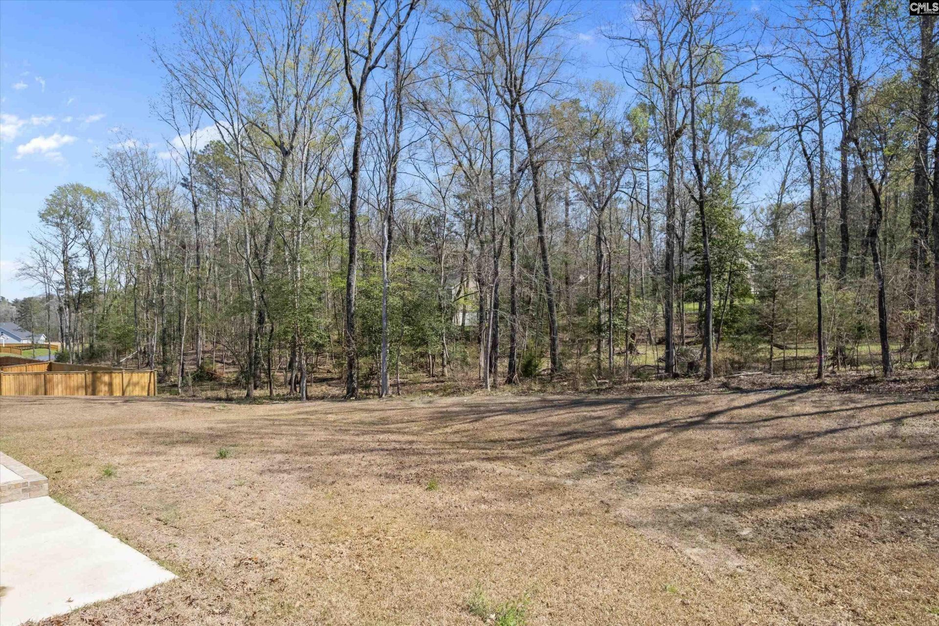 558 Wild Ginger Loop Photo 5