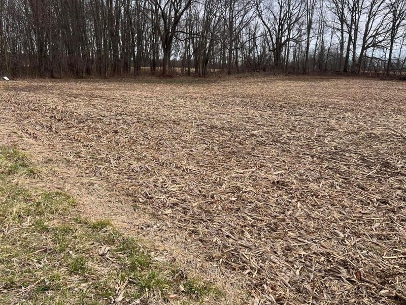 0 County Road, Unit 199 Tract, Mount Vernon, OH 43050 Photo 2
