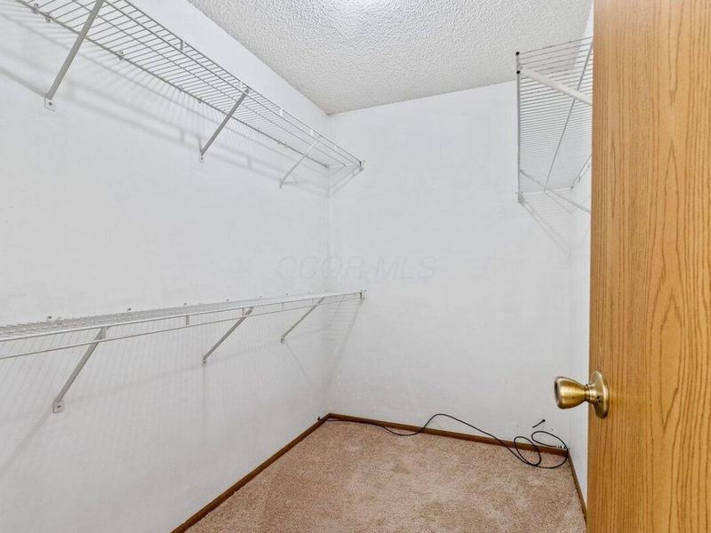 5336 Bonner Drive, Hilliard, OH 43026 Photo 15