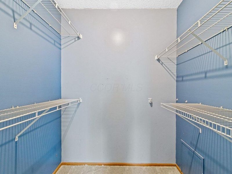 5336 Bonner Drive, Hilliard, OH 43026 Photo 20