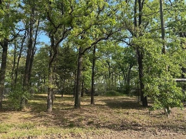 116 Red Bird Lane, Mabank, TX 75156