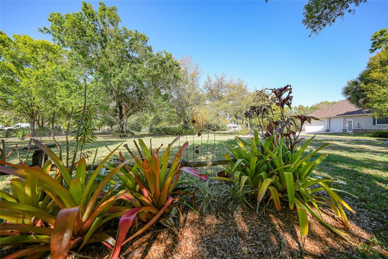 Please Call For Address, Lake Suzy, FL 34269 Photo