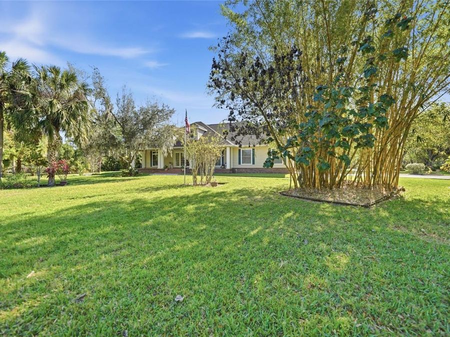 Property Image 81